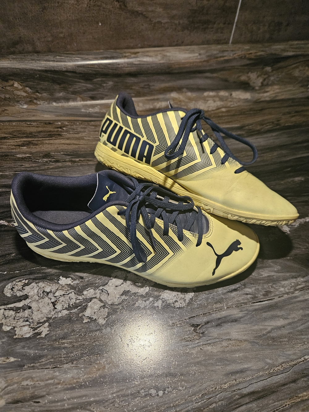 Puma Indoor Performance Soccer Shoes